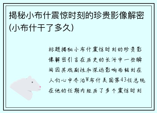 揭秘小布什震惊时刻的珍贵影像解密(小布什干了多久)