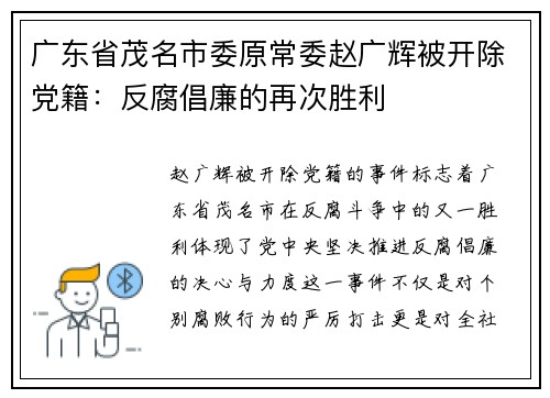 广东省茂名市委原常委赵广辉被开除党籍:反腐倡廉的再次胜利