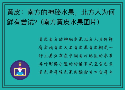 黄皮：南方的神秘水果，北方人为何鲜有尝试？(南方黄皮水果图片)