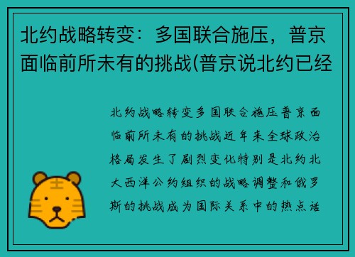 北约战略转变：多国联合施压，普京面临前所未有的挑战(普京说北约已经没有存在的必要了)