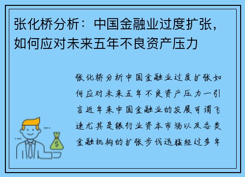 张化桥分析:中国金融业过度扩张,如何应对未来五年不良资产压力